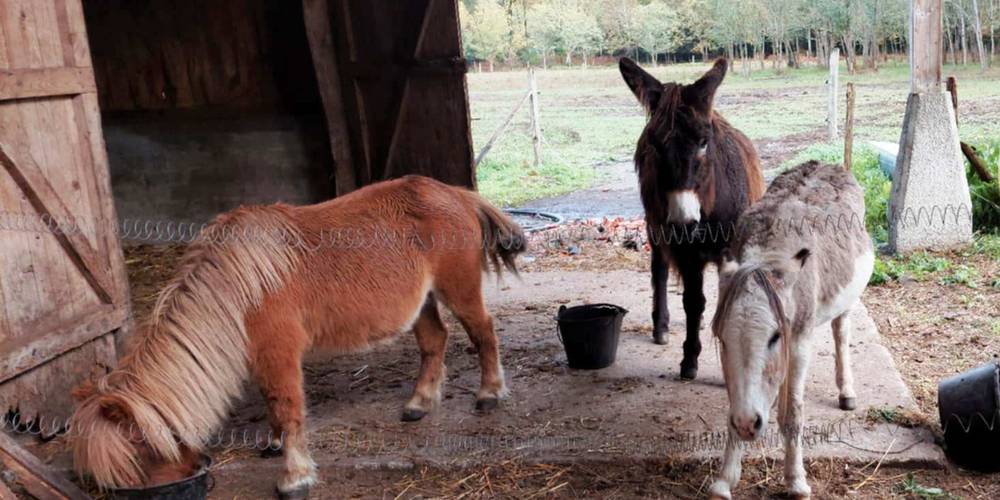  POTABILIS LA FERME A CULTURE (Nouvelle-Aquitaine, Gironde)