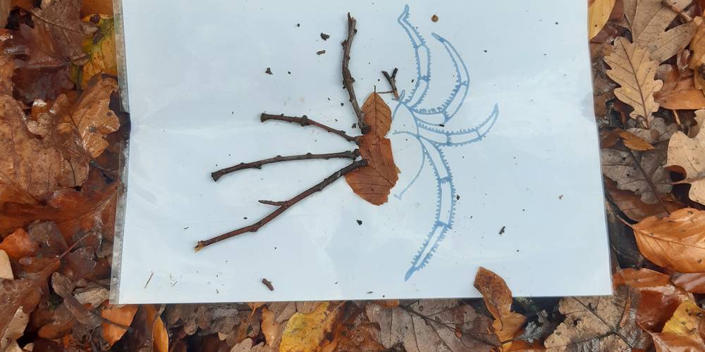 Animation nature -  Ferme d'animation du Long Réage (Pays de la Loire, Sarthe)