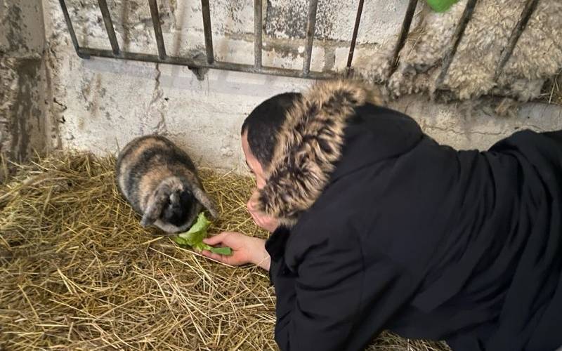 Pubic handicapé -  Ferme d'animation du Long Réage (Pays de la Loire, Sarthe)