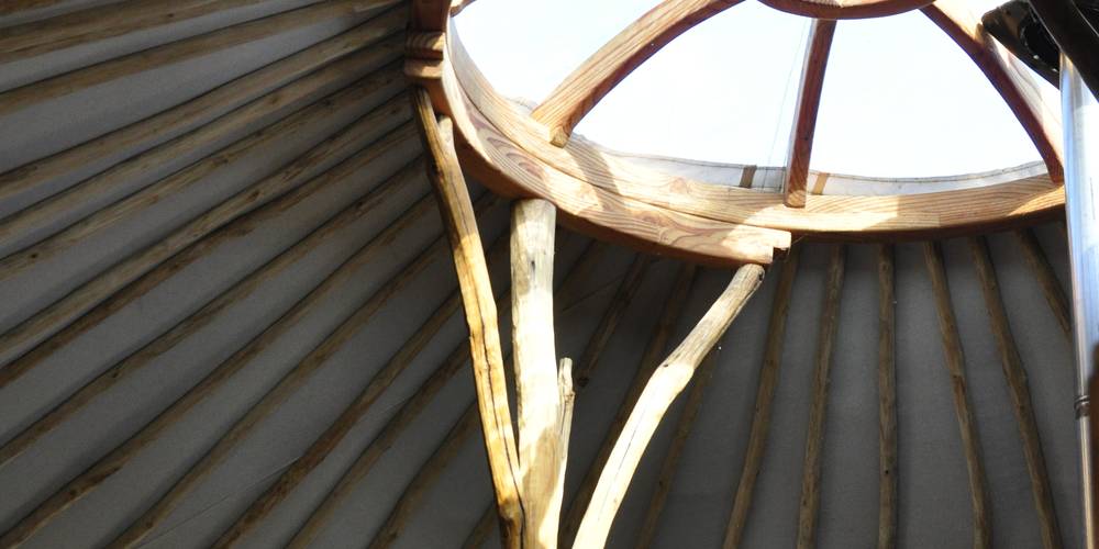  Jumenterie du Pech Blanc (Occitanie, Lot)