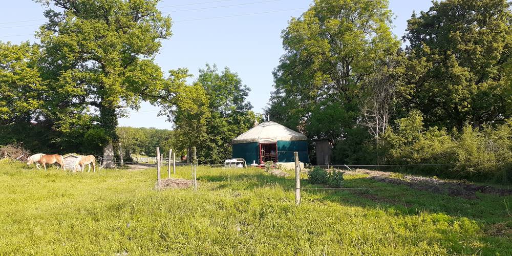  Jumenterie du Pech Blanc (Occitanie, Lot)