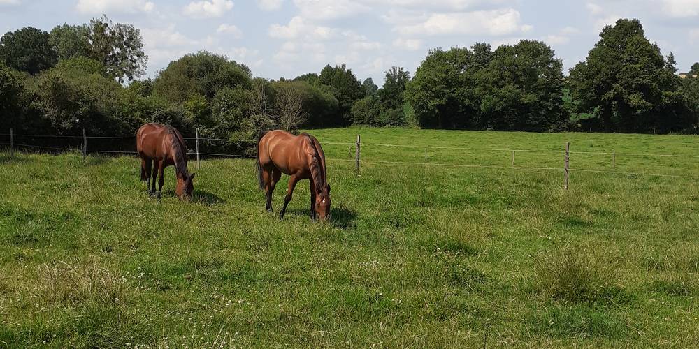  Chambre d'hôtes ferme des deux vallées (Pays de la Loire, Mayenne)