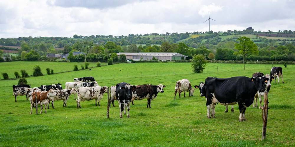  Chambre d'hôtes ferme des deux vallées (Pays de la Loire, Mayenne)
