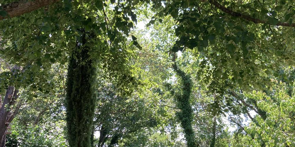  Gîte de Fontenelle (Pays de la Loire, Mayenne)