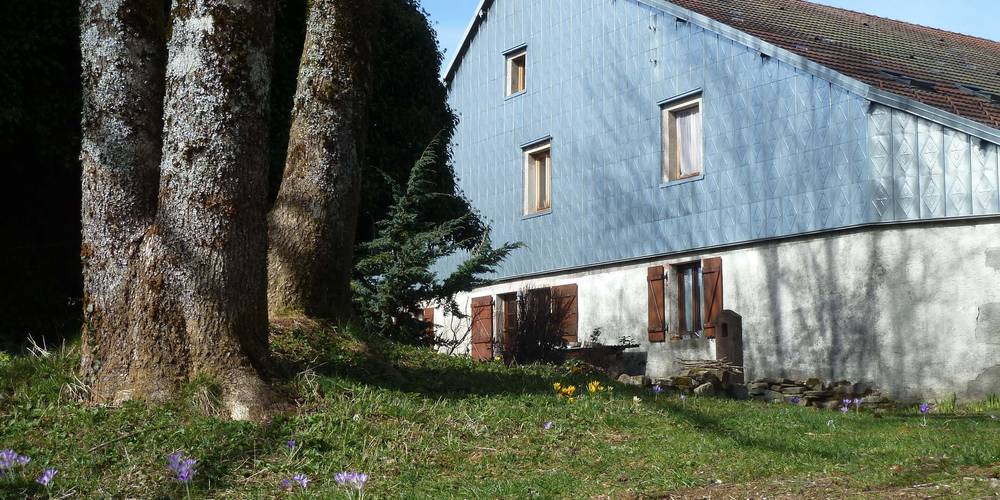  La Fritillaire (Bourgogne-Franche-Comté, Haute-Saône)