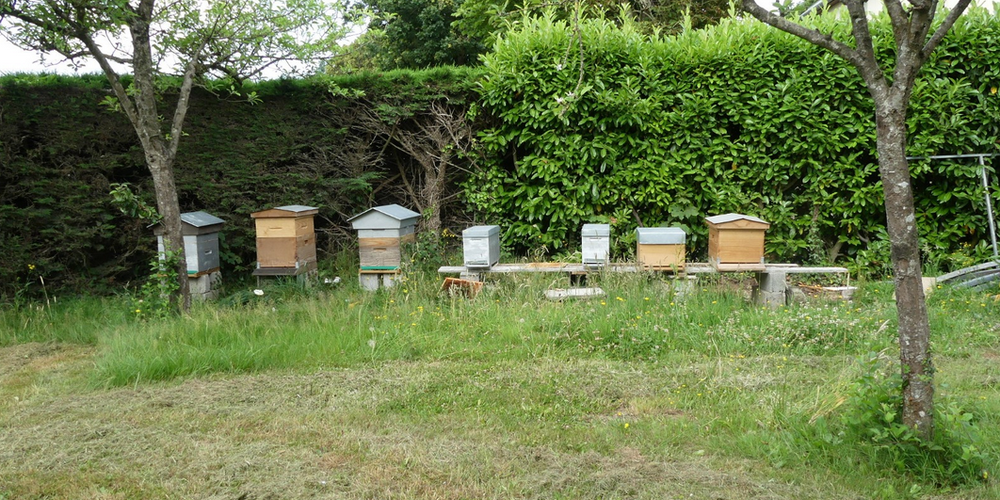  gite "Chez Madeleine" (Normandie, Manche)