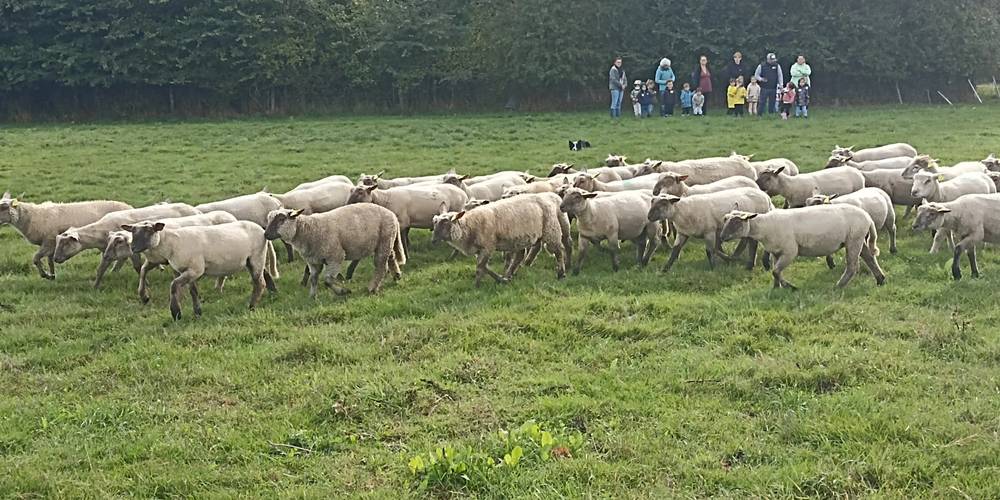  Ferme pédagogique de la Casserie (Pays de la Loire, Maine-et-Loire)