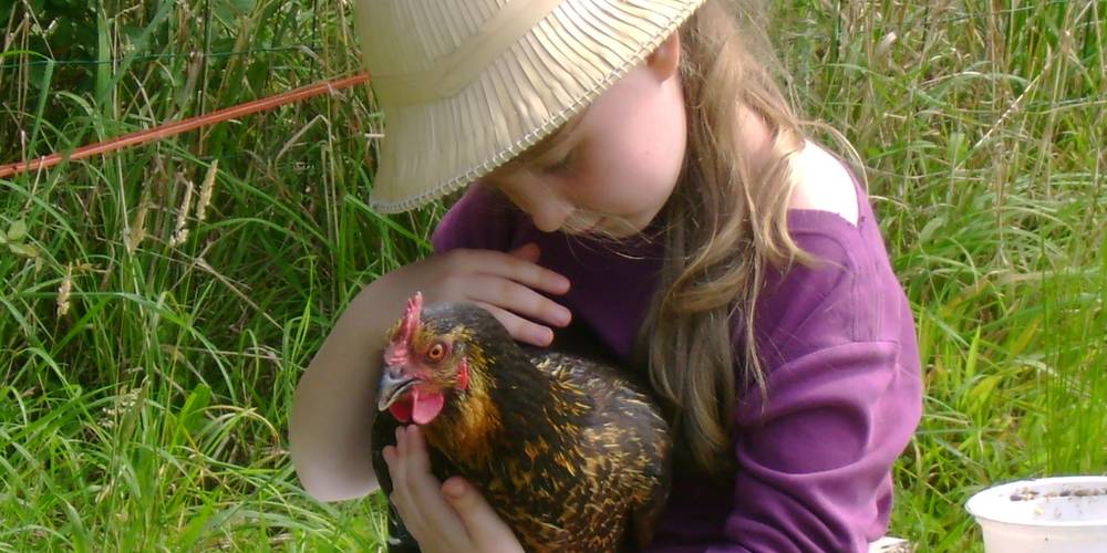  La Ferme du Biau Chemin des Landes (Pays de la Loire, Loire-Atlantique)