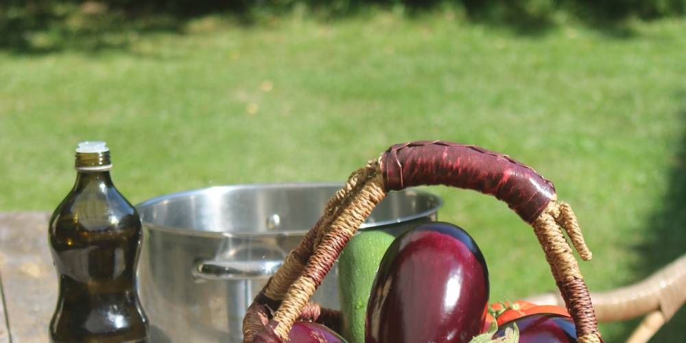 légumes du jardin -  Ferme de montagnac (Occitanie, Gers)