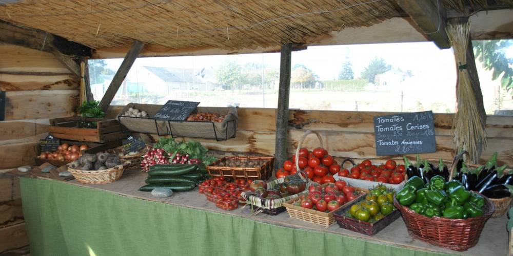  Bellevue sur l'Potager (Bretagne, Ille-et-Vilaine)