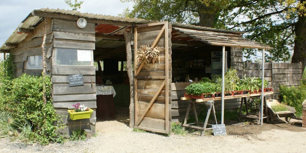  Bellevue sur l'Potager (Bretagne, Ille-et-Vilaine)