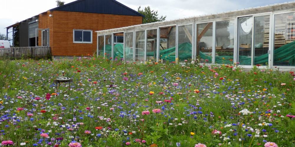  Bellevue sur l'Potager (Bretagne, Ille-et-Vilaine)