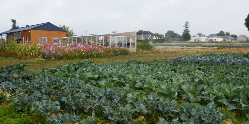  Bellevue sur l'Potager (Bretagne, Ille-et-Vilaine)