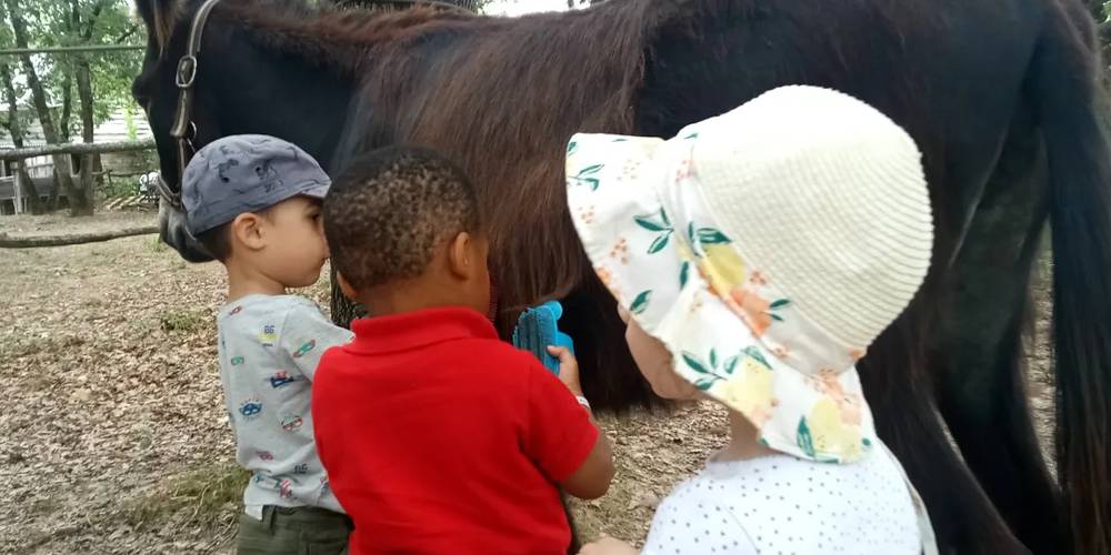  Asinerie d'en Manaou (Occitanie, Haute-Garonne)