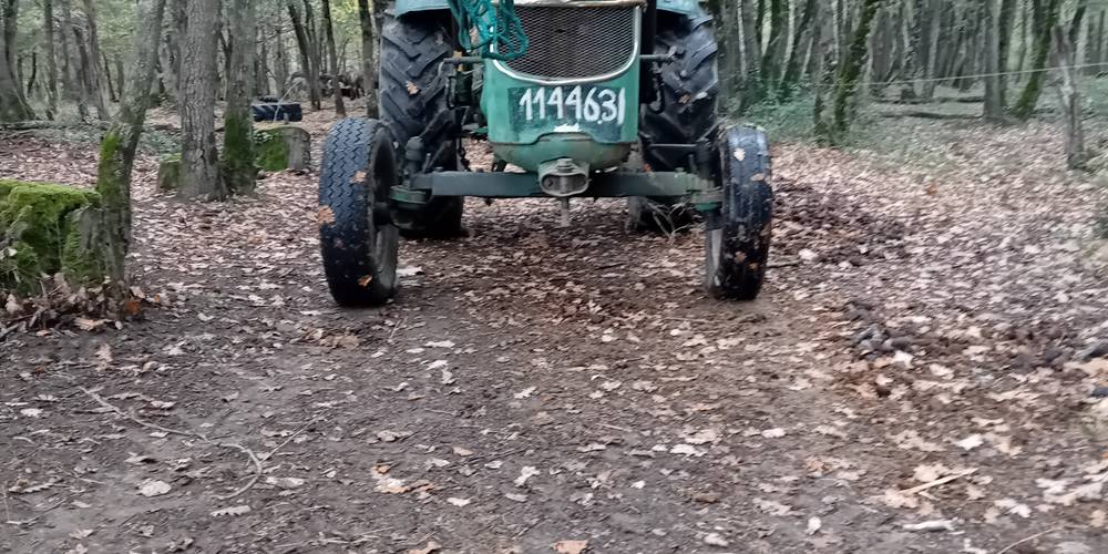  Asinerie d'en Manaou (Occitanie, Haute-Garonne)