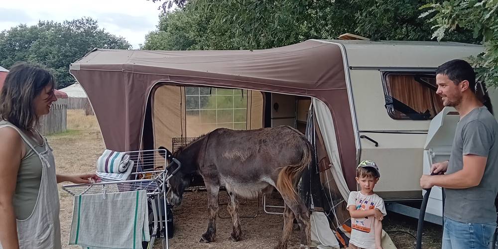  Asinerie d'en Manaou (Occitanie, Haute-Garonne)