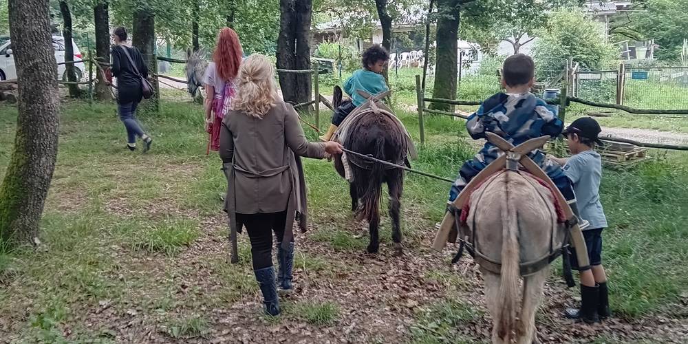  Asinerie d'en Manaou (Occitanie, Haute-Garonne)