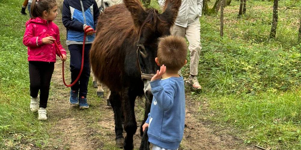  Asinerie d'en Manaou (Occitanie, Haute-Garonne)
