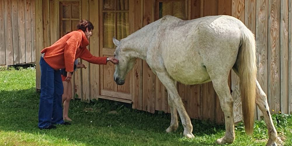  Asinerie d'en Manaou (Occitanie, Haute-Garonne)