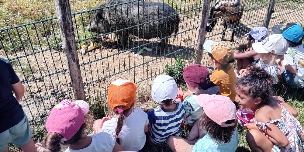  Asinerie d'en Manaou (Occitanie, Haute-Garonne)