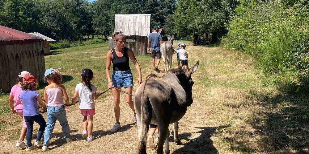  Asinerie d'en Manaou (Occitanie, Haute-Garonne)