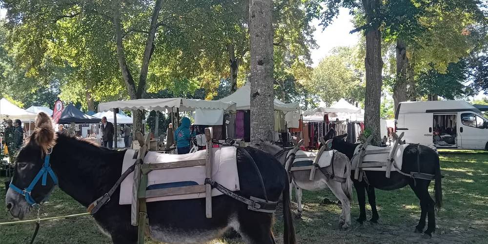  Asinerie d'en Manaou (Occitanie, Haute-Garonne)