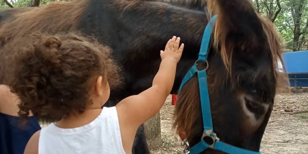  Asinerie d'en Manaou (Occitanie, Haute-Garonne)