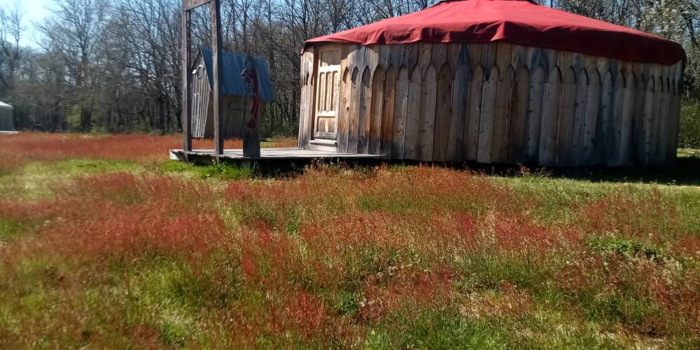  Asinerie d'en Manaou (Occitanie, Haute-Garonne)