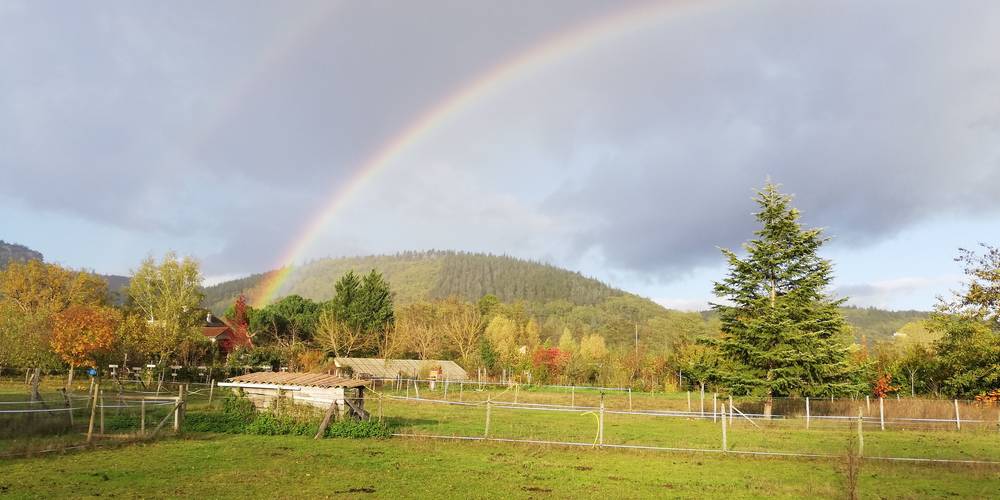  Paysannerie des Versannes (Occitanie, Lot)