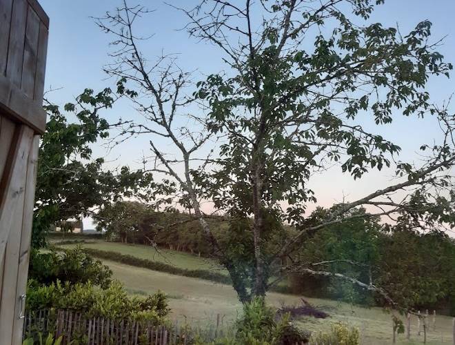  Véronique Galilé (Occitanie, Lot)