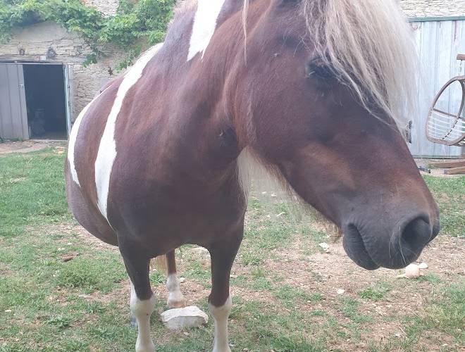  Véronique Galilé (Occitanie, Lot)