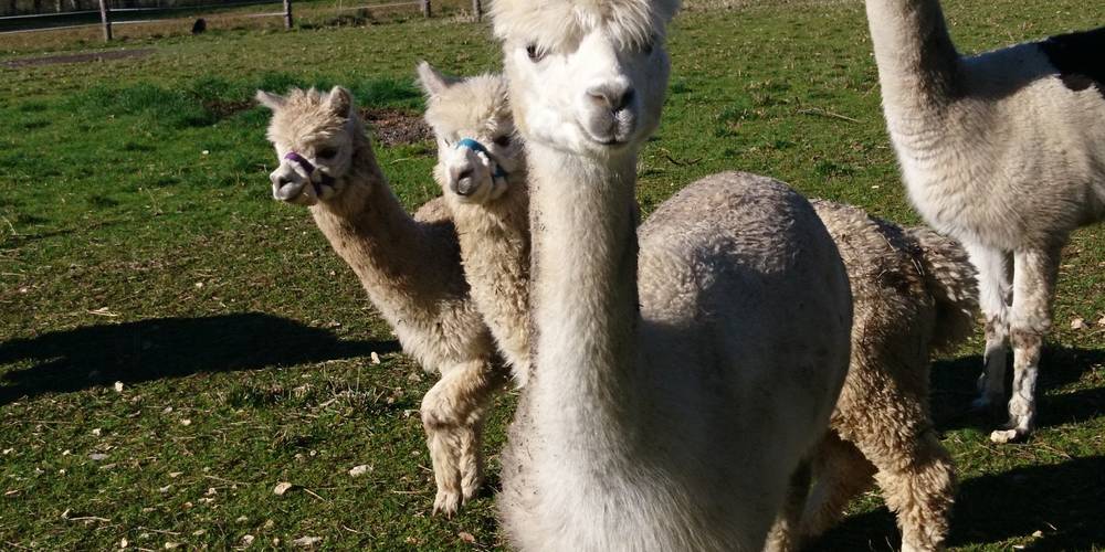  Véronique Galilé (Occitanie, Lot)