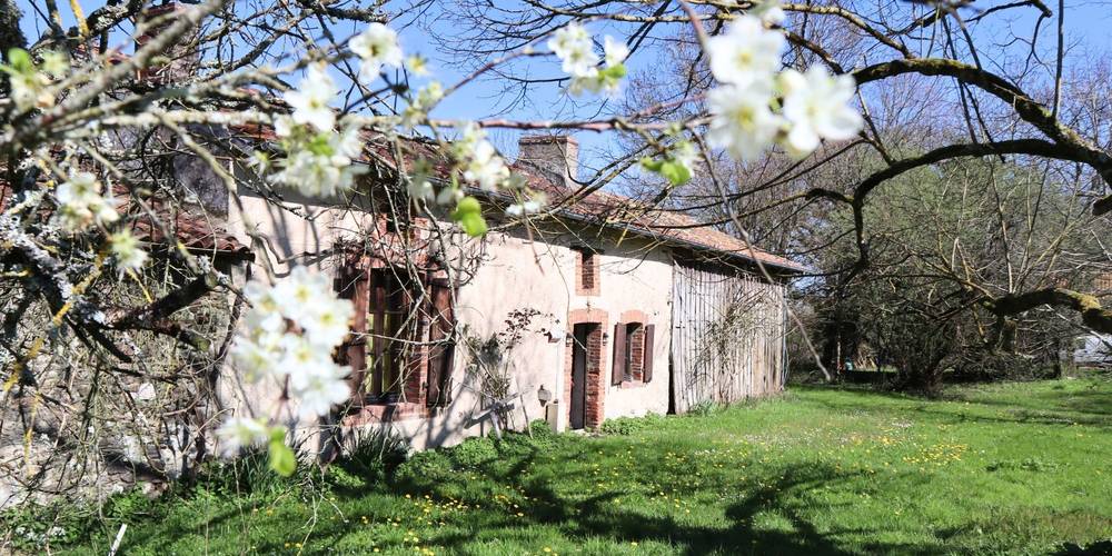  LELOUP CATHERINE ET JEAN-MICHEL (Nouvelle-Aquitaine, Haute-Vienne)