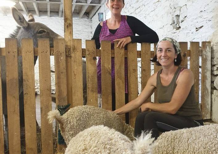  Asinerie du Bois Gamats (Pays de la Loire, Mayenne)