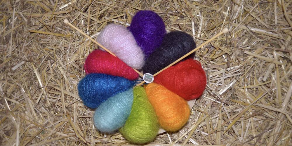  Asinerie et chèvrerie du Bois Gamats (Pays de la Loire, Mayenne)