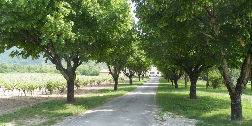  La Donne (Auvergne-Rhône-Alpes, Drôme)