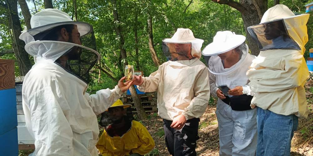  Gîte de Brassacou (Occitanie, Ariège)