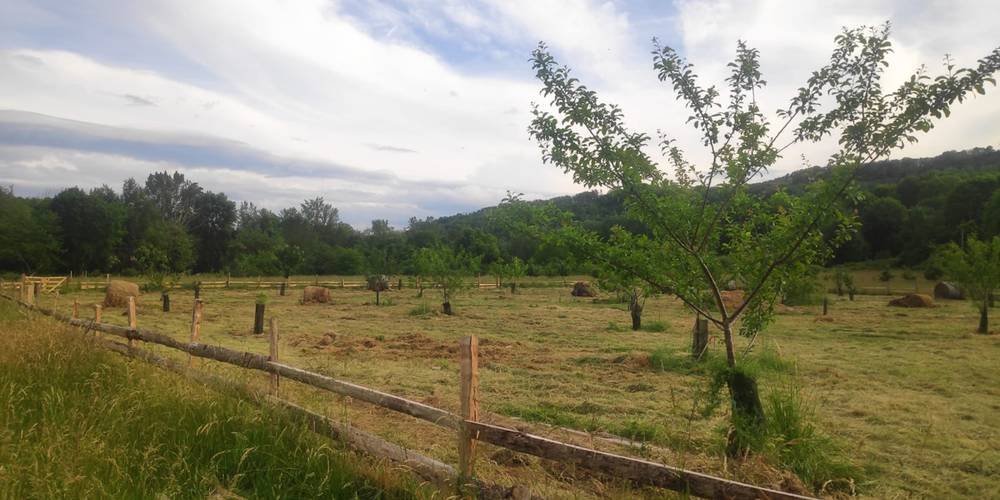  Gîte de Brassacou (Occitanie, Ariège)