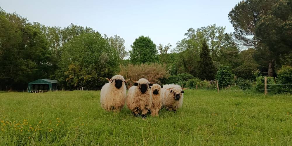  Gîte de Brassacou (Occitanie, Ariège)