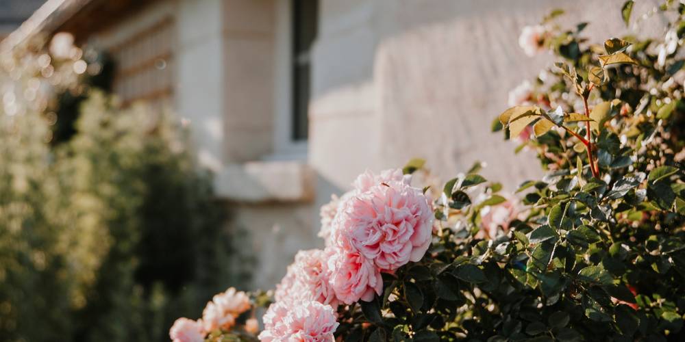  Les Sens Ciel (Centre-Val de Loire, Indre-et-Loire)