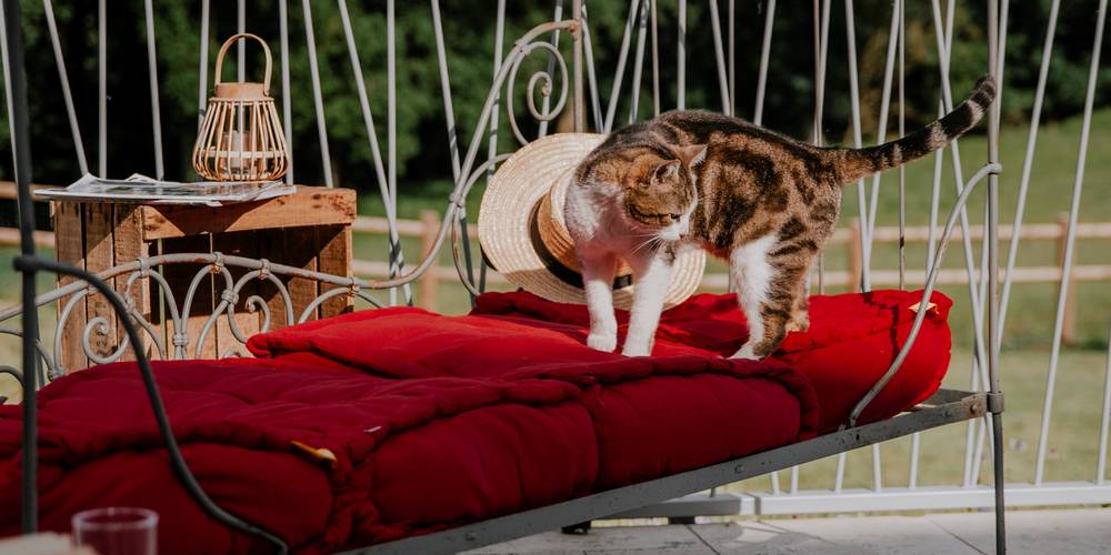  Les Sens Ciel (Centre-Val de Loire, Indre-et-Loire)