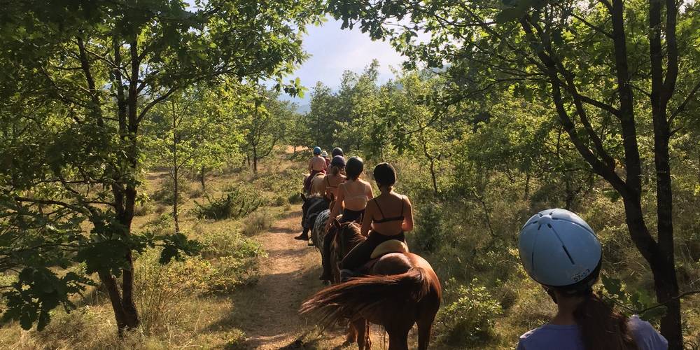 promenade à cheval en forêt -  Equiloisirs Farm (Occitanie, Ariège)