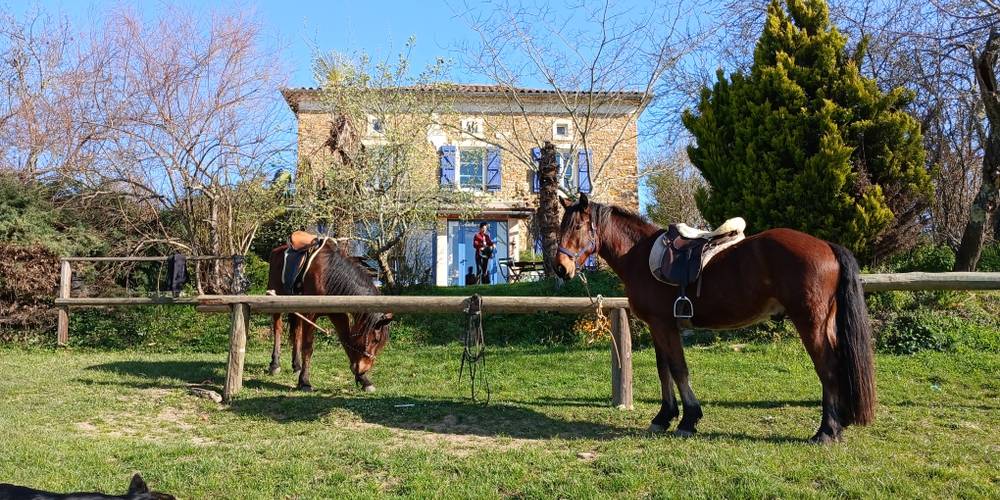 chambre dans la maison  du XIXè et cheval prêt -  Equiloisirs Farm (Occitanie, Ariège)