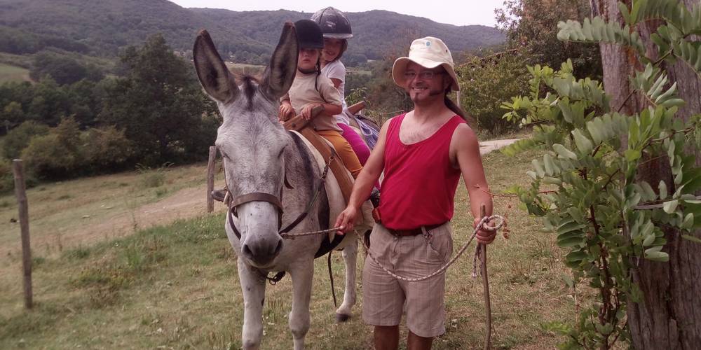 Notre âne pour les petits -  Equiloisirs Farm (Occitanie, Ariège)