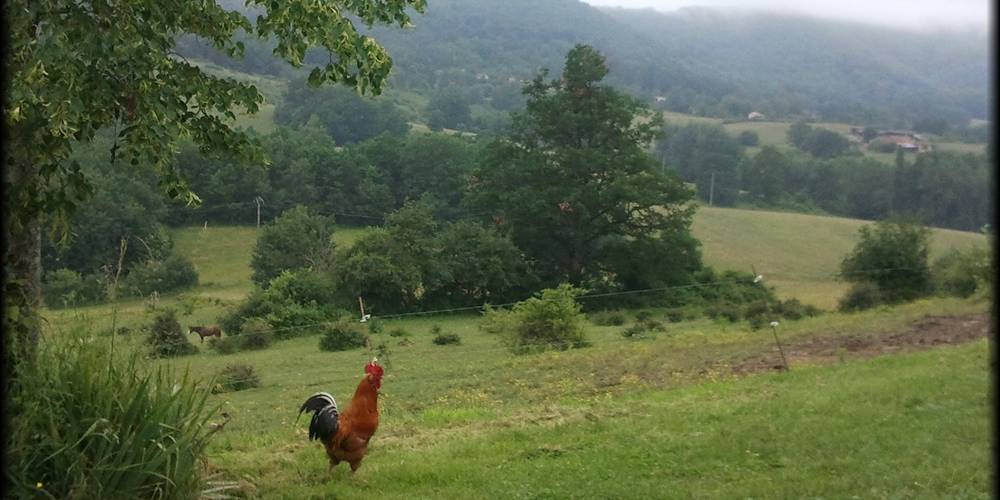 Vue depuis la ferme -  Equiloisirs Farm (Occitanie, Ariège)