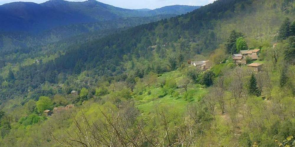 Hameau de Conches -  GITE de LIOU (Occitanie, Lozère)
