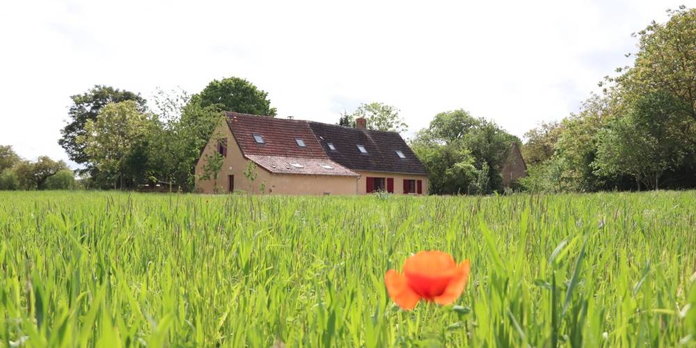  Ferme des Retrouvailles (Centre-Val de Loire, Indre)