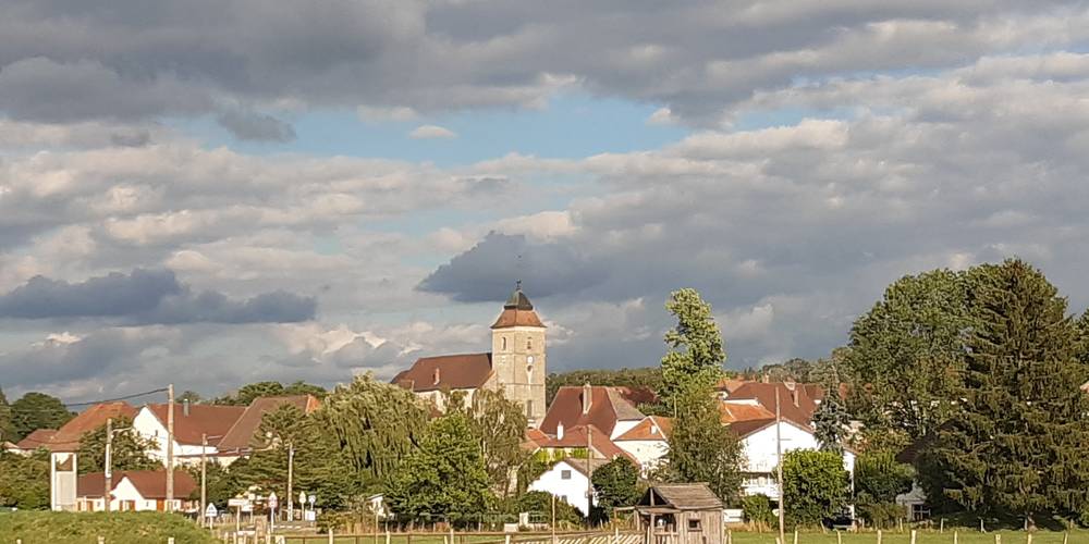  Wicker nest (Bourgogne-Franche-Comté, Jura)
