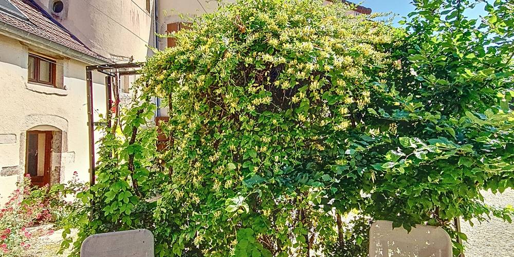  La Goutte d'Or (Bourgogne-Franche-Comté, Côte-d'Or)