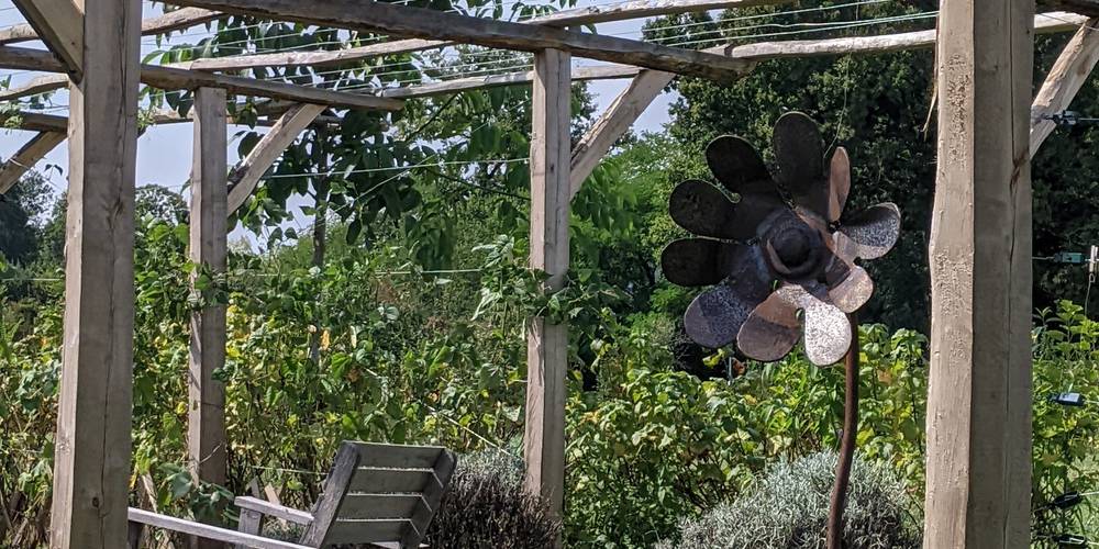 fleur au jardin -  Ecolieu La gataudière (Pays de la Loire, Vendée)